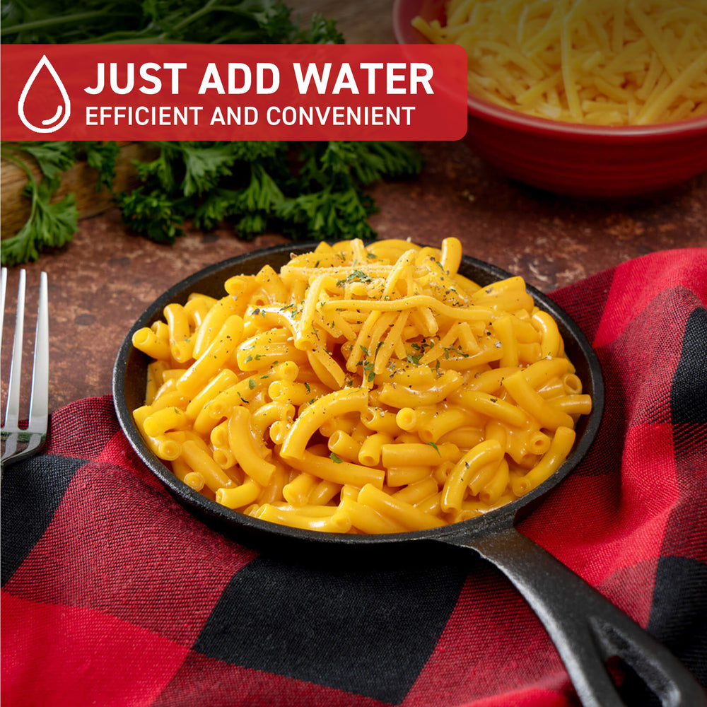 ReadyWise 120 Serving Entree Only Package