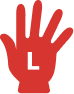 Large Vinyl Gloves