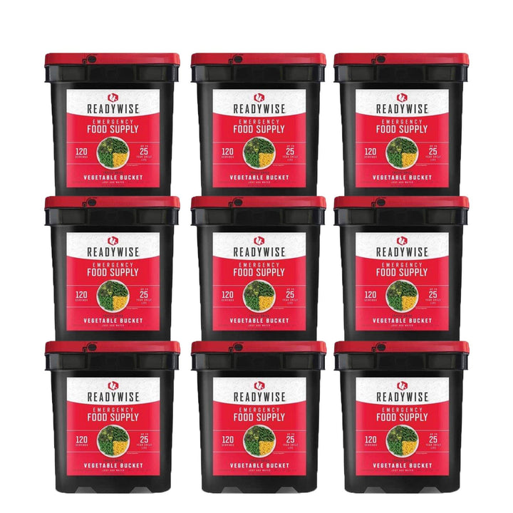 ReadyWise 1080 Serving Vegetable Bucket Combo
