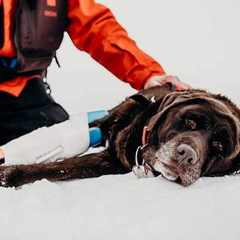 Splint, 36" x 4.25" - SAM Medical