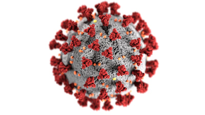 Covid 19: Escalation of Coronavirus cases in Florida?