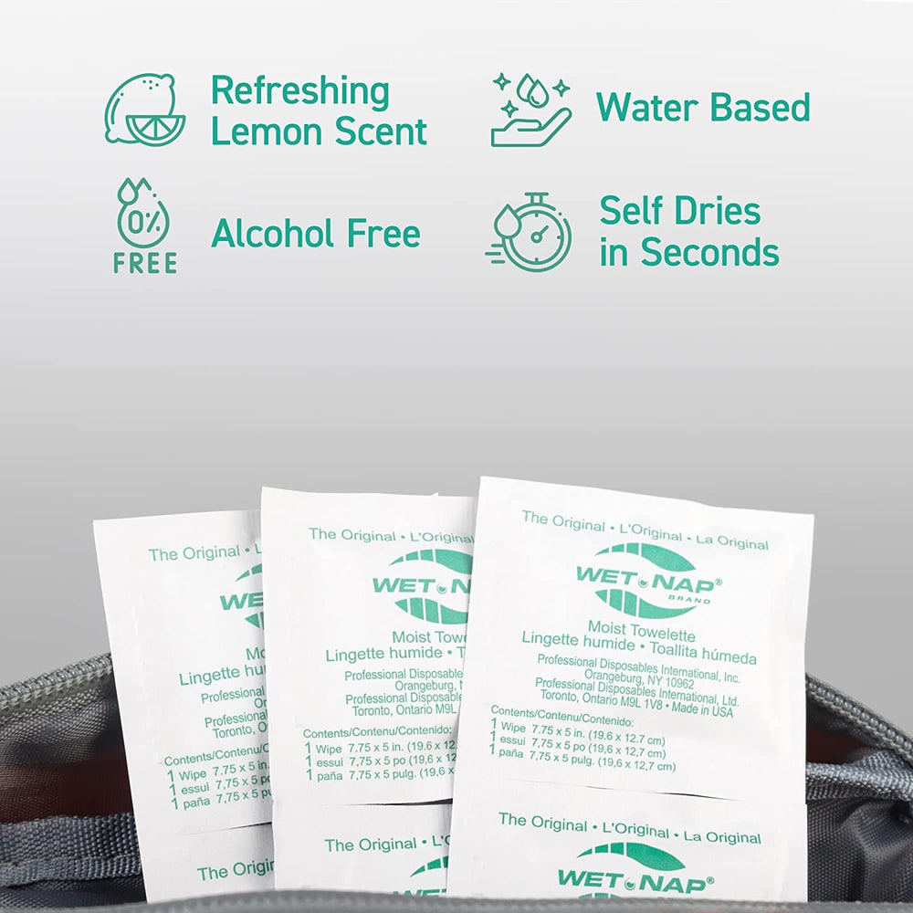 Wet Naps, Hand Cleaning Towelettes (100 per pack)