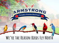 Armstrong Royal Jubilee Suet Variety 12 Pack (Brilliance, Jays Blend, Persistence) 8lbs
