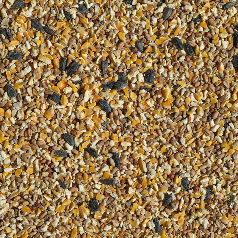 Armstrong Feather Treat All Season Wild Bird Food Blend 8.8lbs