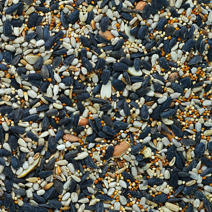 Armstrong Sweet Songs, Premium Wild Bird Food, Songbird and