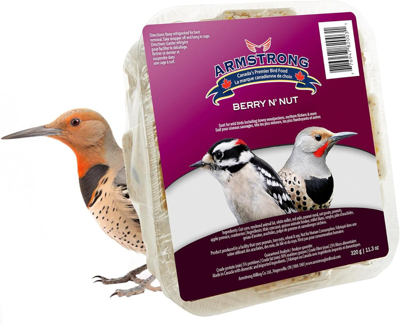 Suet Cakes Bird Food