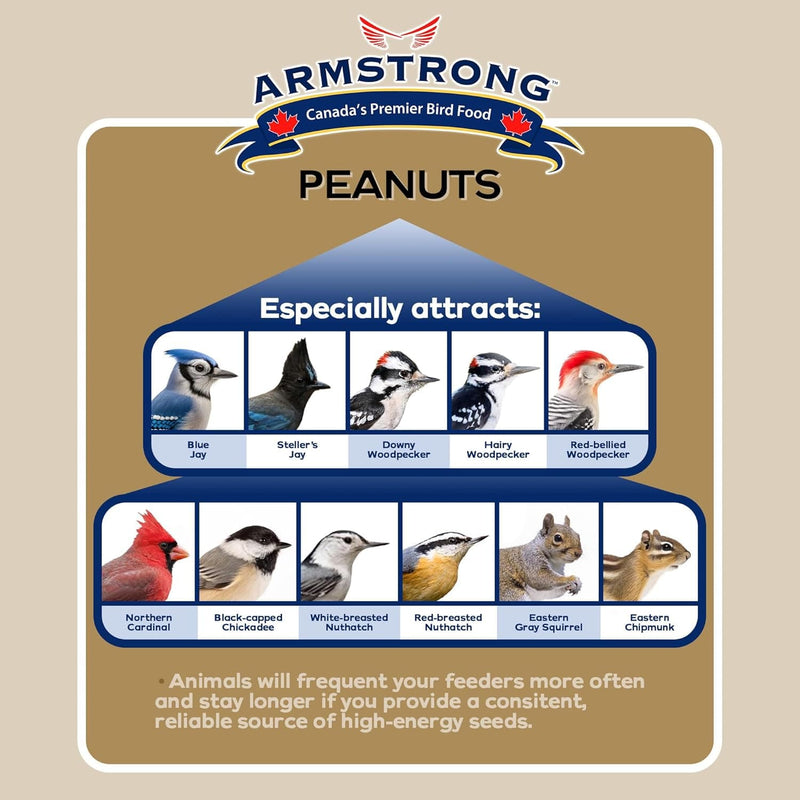 Armstrong Peanuts Halves Bird Feed