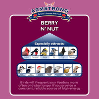 Armstrong Royal Jubilee Berry 'N Nut 3 Pack Suet Cakes 960g