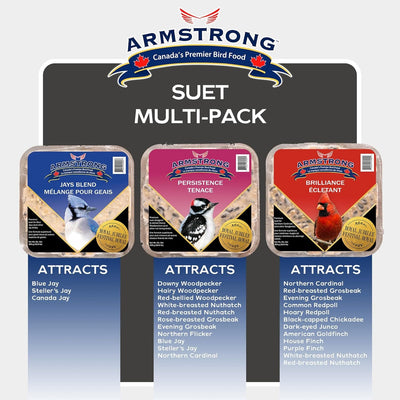 Armstrong Royal Jubilee Suet Variety 12 Pack (Brilliance, Jays Blend, Persistence) 8lbs