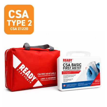 CSA Type 2