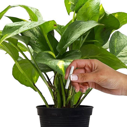 Fertilizers