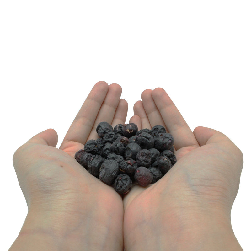 Freeze Dried Blueberries in hand