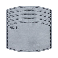 PM2.5 Filter, Individually Wrapped, Pack of 5 - Ready First Aid