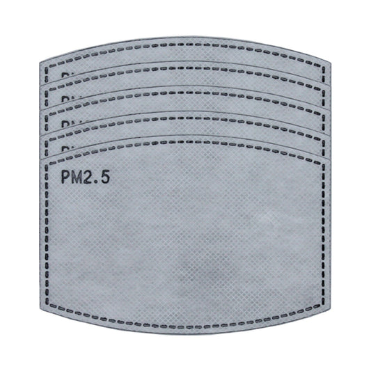 PM2.5 Filter, Individually Wrapped, Pack of 5 - Ready First Aid