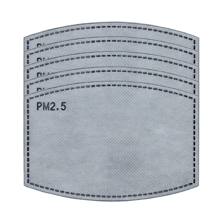 PM2.5 Filter, Individually Wrapped, Pack of 5 - Ready First Aid