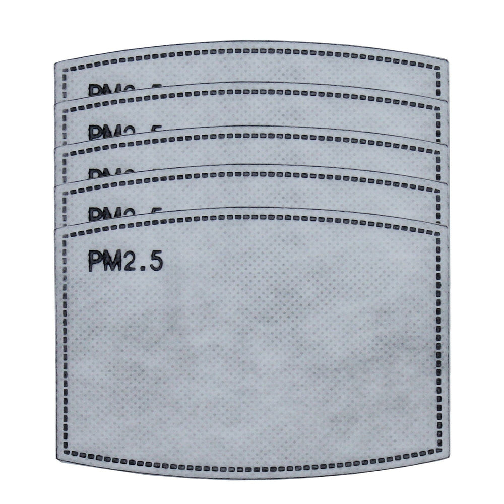 PM2.5 Filter, Individually Wrapped, Pack of 5 - Ready First Aid