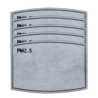 PM2.5 Filter, Individually Wrapped, Pack of 5 - Ready First Aid