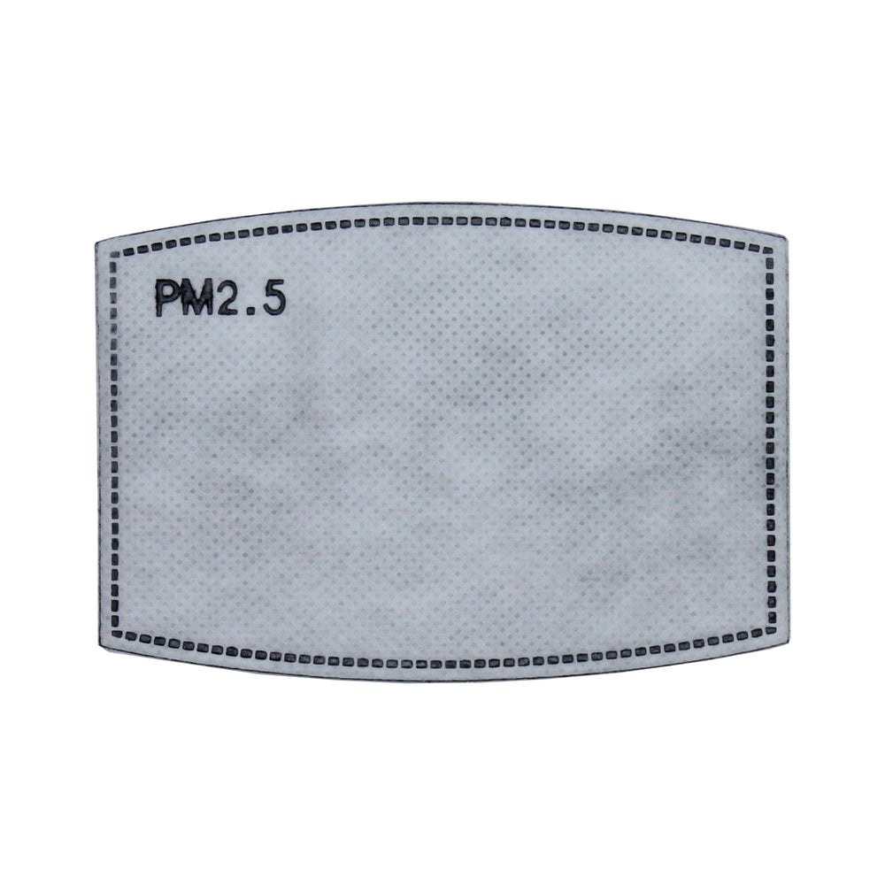 PM2.5 Filter, Individually Wrapped, Pack of 5 - Ready First Aid