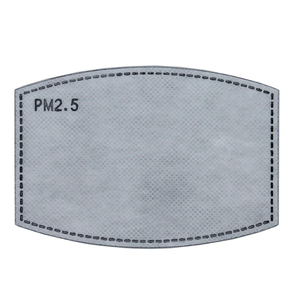 PM2.5 Filter, Individually Wrapped, Pack of 5 - Ready First Aid