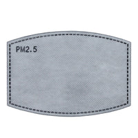 PM2.5 Filter, Individually Wrapped, Pack of 5 - Ready First Aid