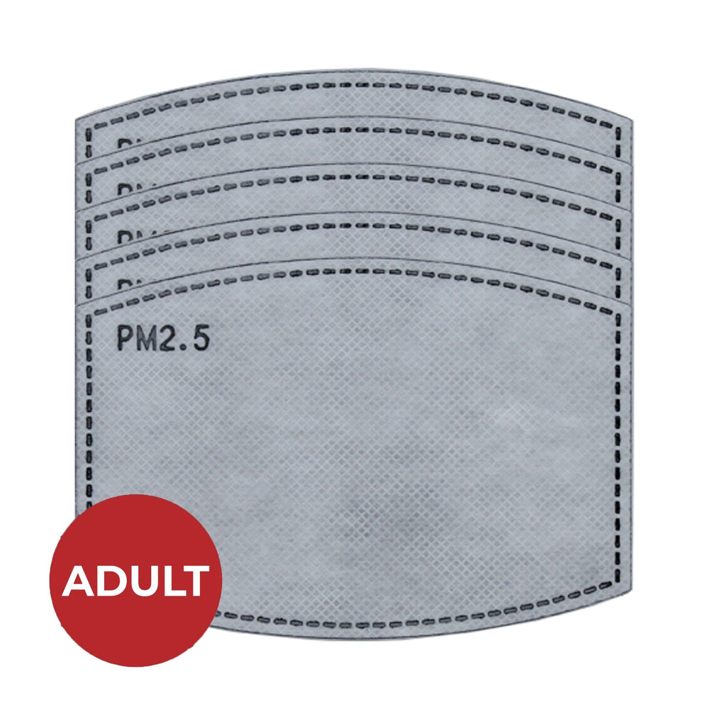 PM2.5 Filter, Individually Wrapped, Pack of 5 - Ready First Aid