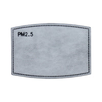 PM2.5 Filter, Individually Wrapped, Pack of 5 - Ready First Aid