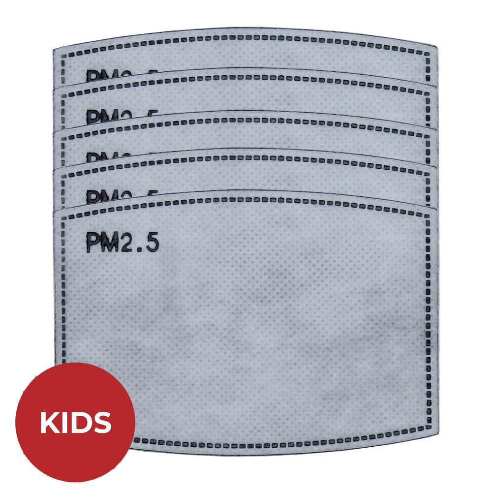 PM2.5 Filter, Individually Wrapped, Pack of 5 - Ready First Aid