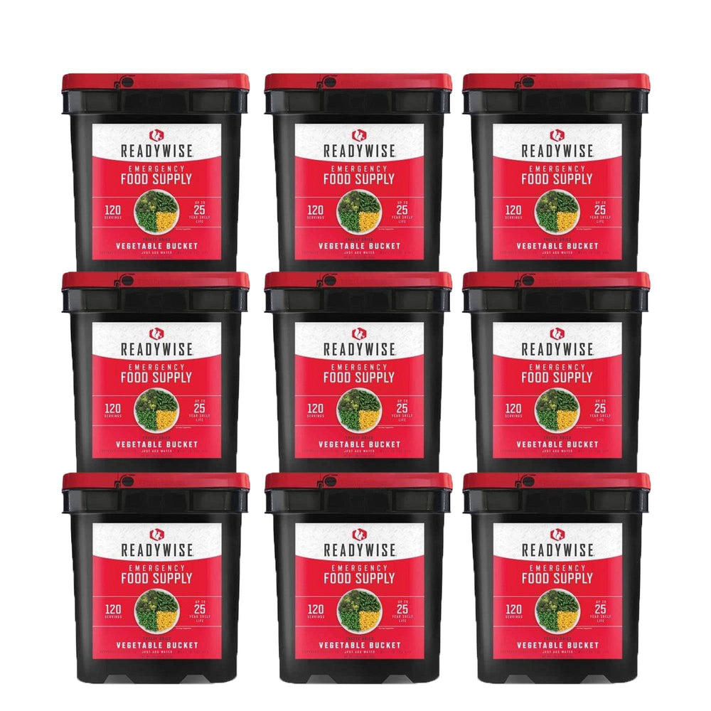 ReadyWise 1080 Serving Vegetable Bucket Combo