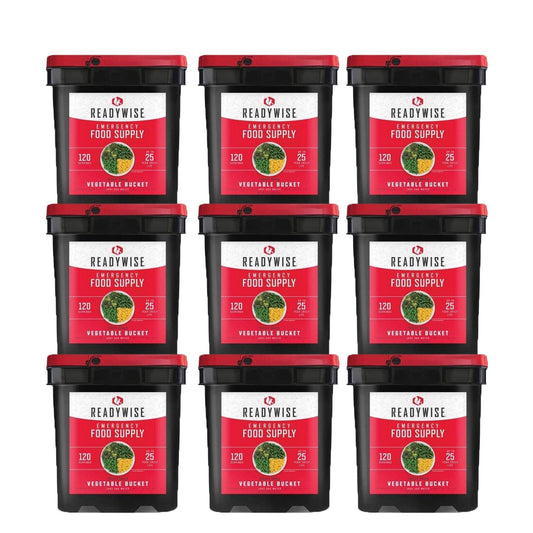 ReadyWise 1080 Serving Vegetable Bucket Combo