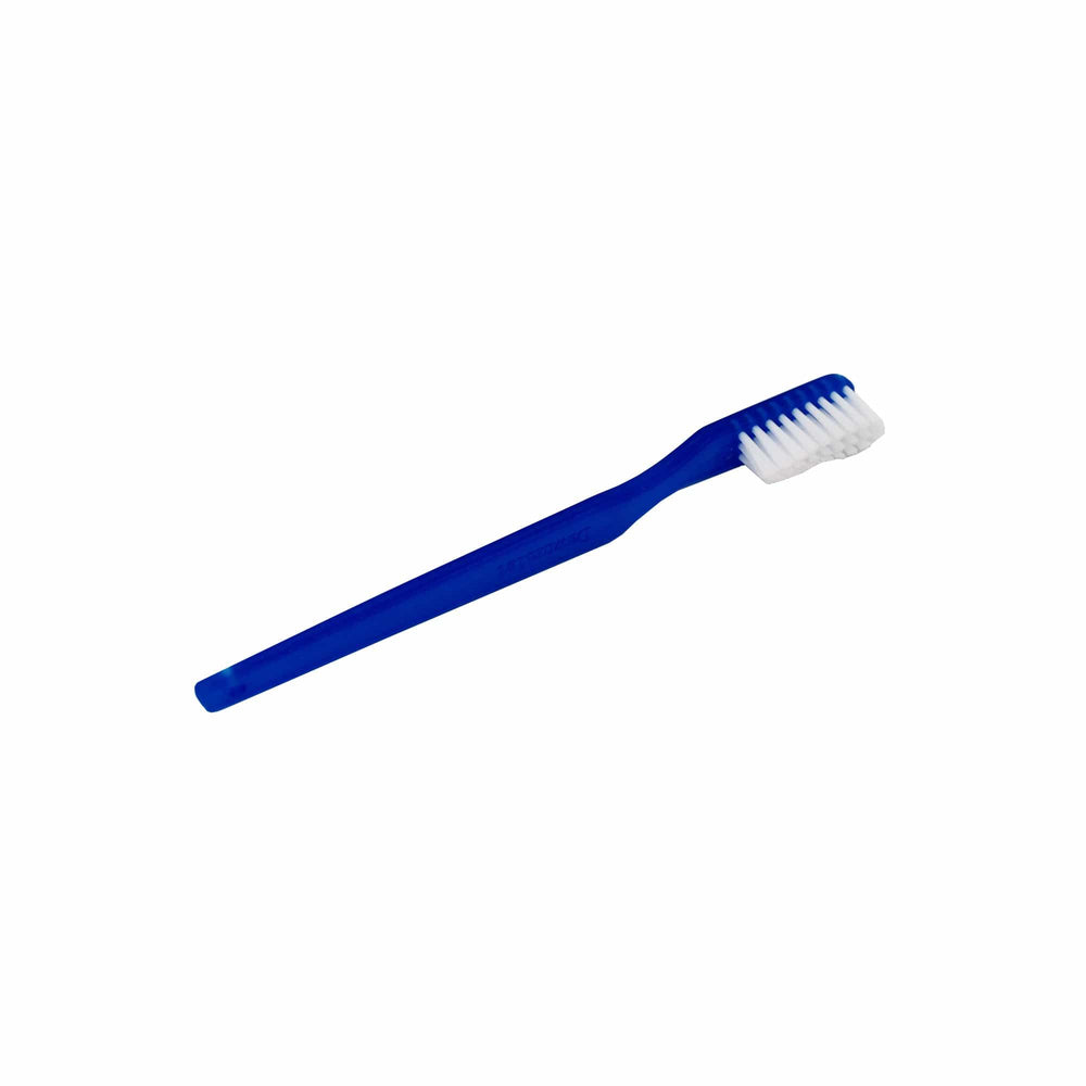 blue toothbrush with plain white bristles